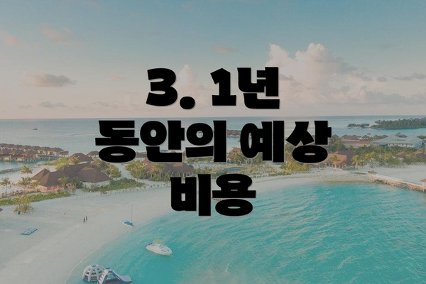 3. 1년 동안의 예상 비용