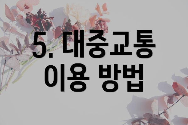 5. 대중교통 이용 방법