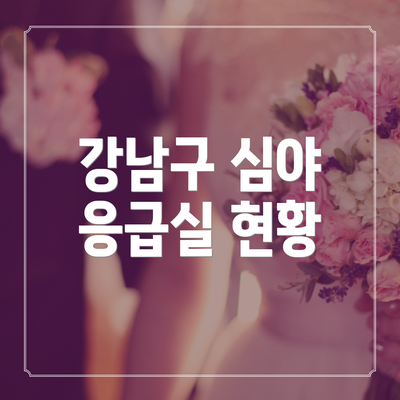 강남구 심야 응급실 현황
