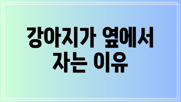 강아지가 옆에서 자는 이유