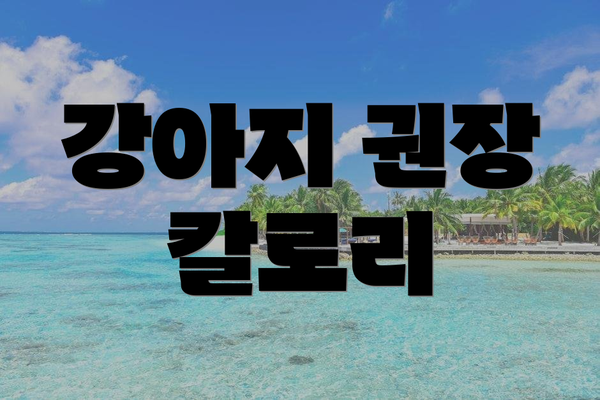 강아지 권장 칼로리