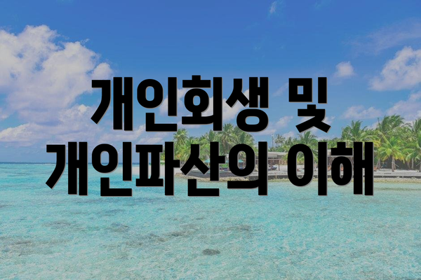 개인회생 및 개인파산의 이해