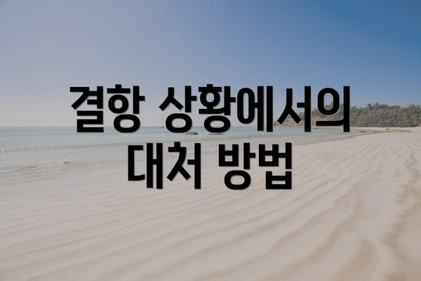 결항 상황에서의 대처 방법