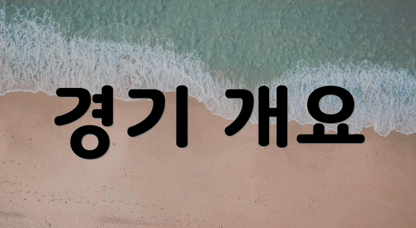 경기 개요
