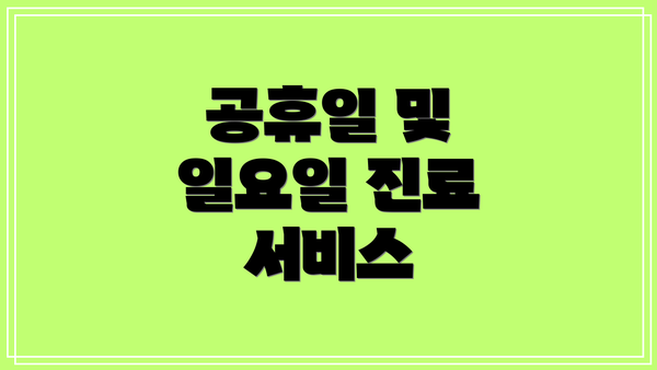 공휴일 및 일요일 진료 서비스