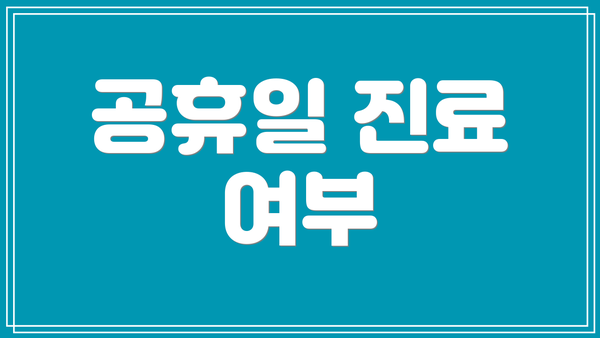 공휴일 진료 여부