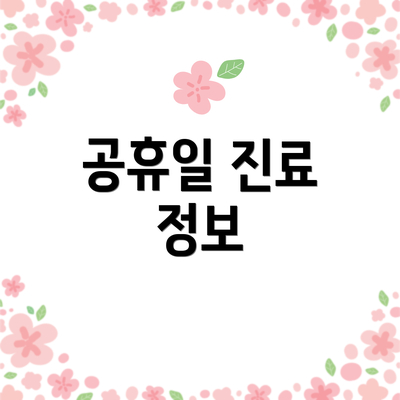 공휴일 진료 정보