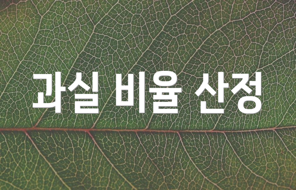 과실 비율 산정