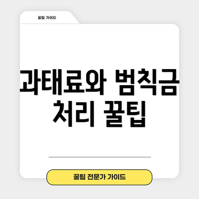 과태료와 범칙금 처리 꿀팁