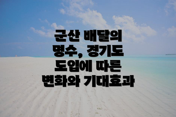 군산 배달의 명수, 경기도 도입에 따른 변화와 기대효과