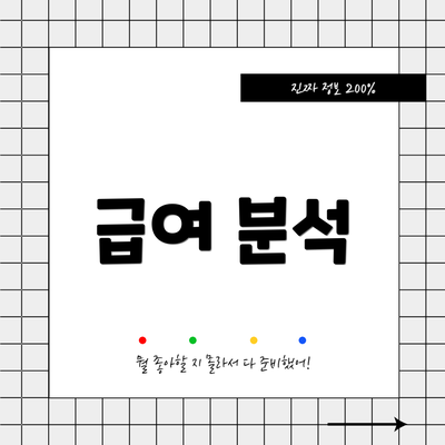 급여 분석