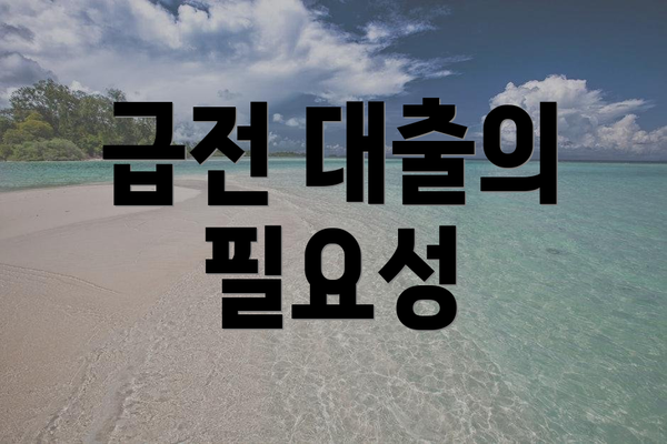 급전 대출의 필요성
