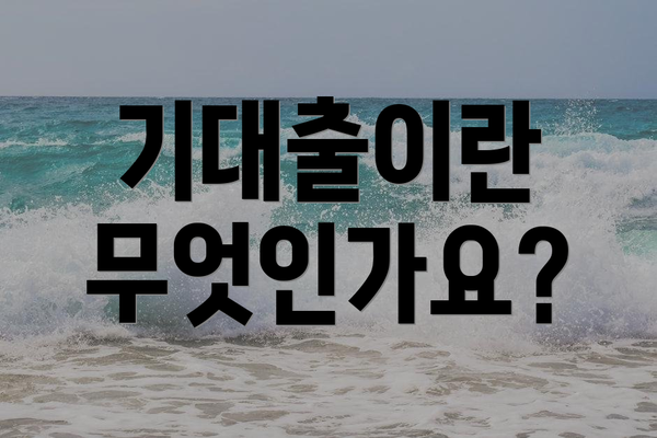 기대출이란 무엇인가요?