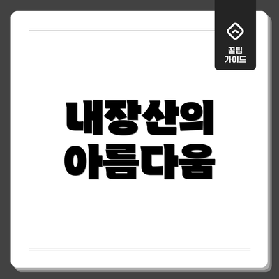 내장산의 아름다움