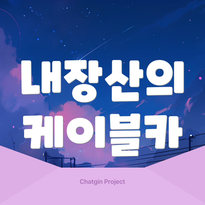 내장산의 케이블카