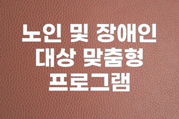 노인 및 장애인 대상 맞춤형 프로그램