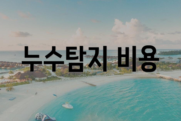누수탐지 비용