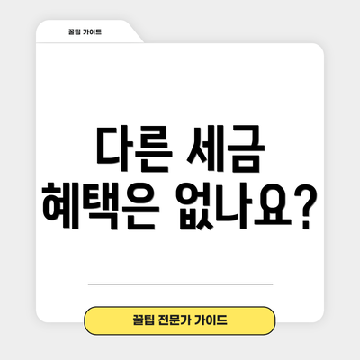 다른 세금 혜택은 없나요?
