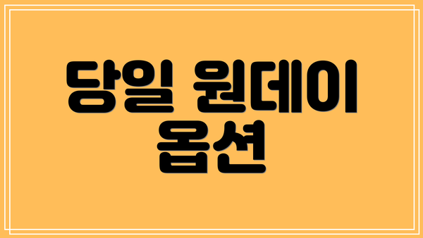 당일 원데이 옵션