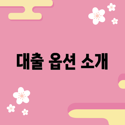 대출 옵션 소개