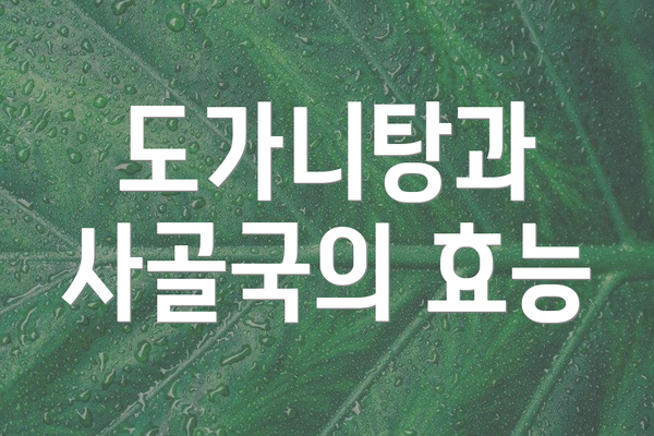 도가니탕과 사골국의 효능