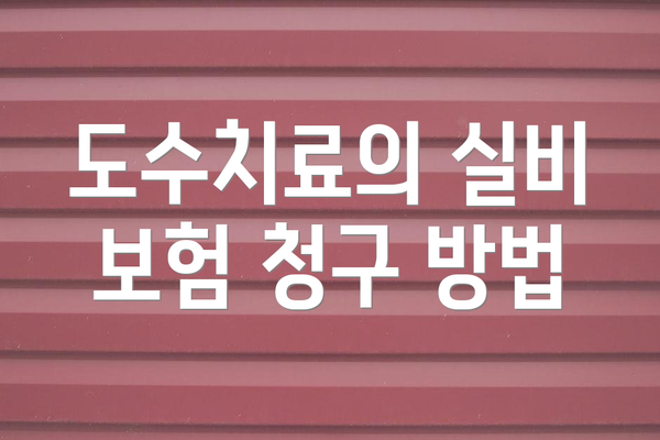 도수치료의 실비 보험 청구 방법