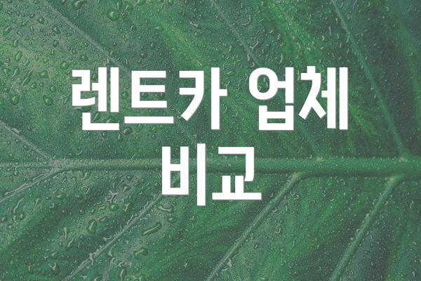렌트카 업체 비교