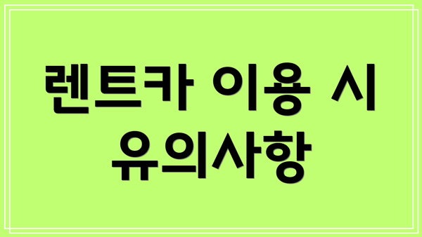 렌트카 이용 시 유의사항