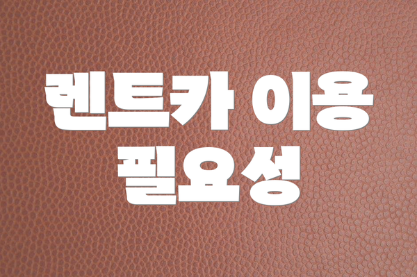 렌트카 이용 필요성