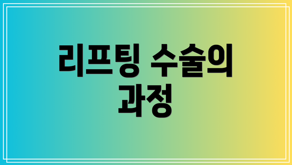 리프팅 수술의 과정