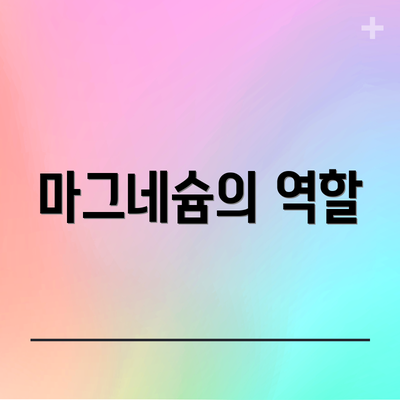 마그네슘의 역할