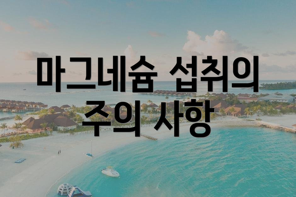 마그네슘 섭취의 주의 사항