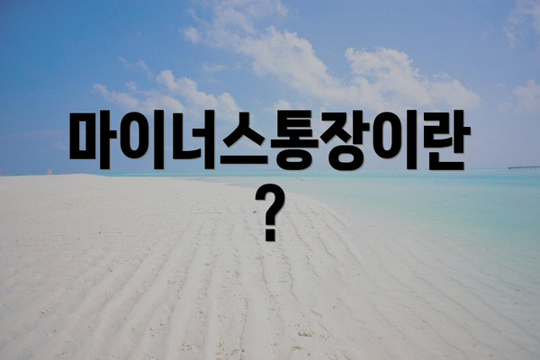 마이너스통장이란?