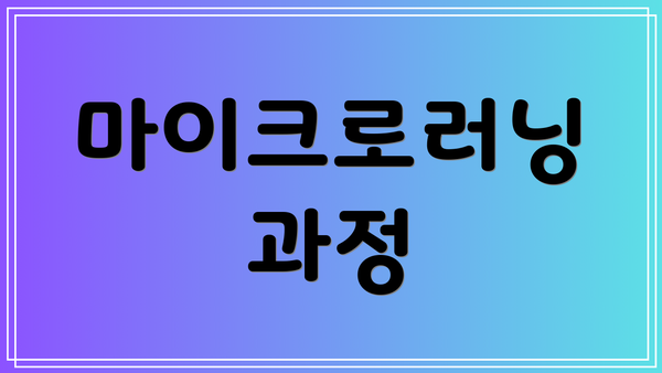 마이크로러닝 과정