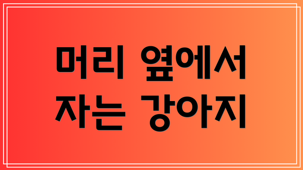 머리 옆에서 자는 강아지