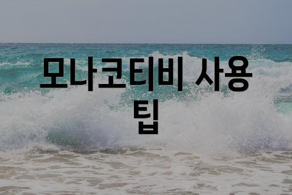 모나코티비 사용 팁
