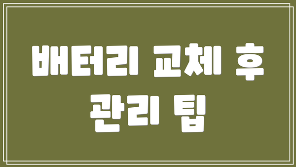 배터리 교체 후 관리 팁