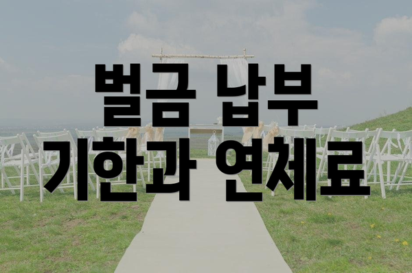 벌금 납부 기한과 연체료