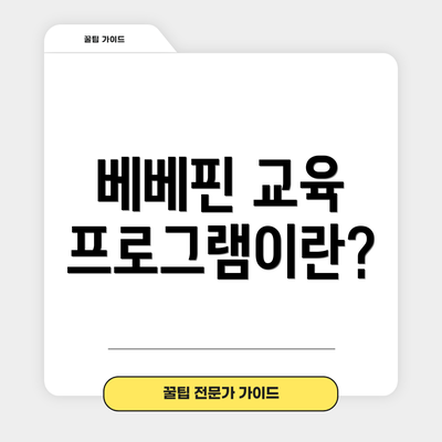 베베핀 교육 프로그램이란?