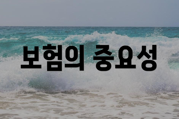 보험의 중요성