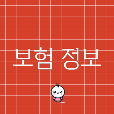 보험 정보