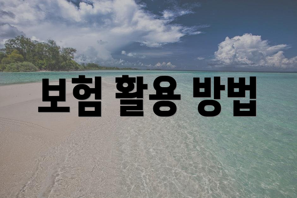 보험 활용 방법