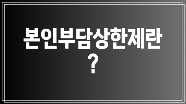 본인부담상한제란?