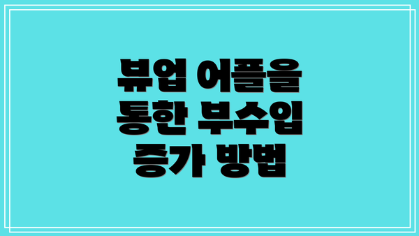 뷰업 어플을 통한 부수입 증가 방법