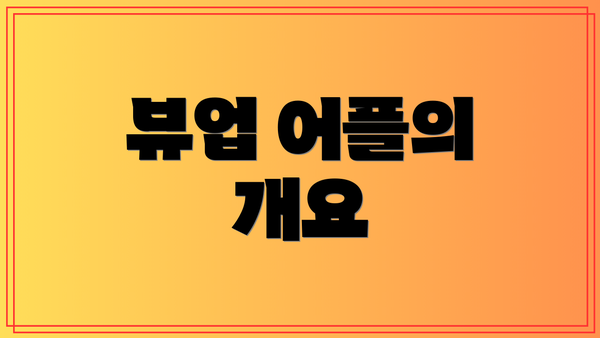 뷰업 어플의 개요