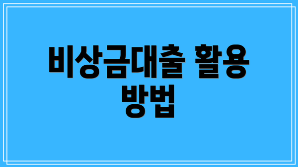 비상금대출 활용 방법
