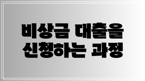 비상금 대출을 신청하는 과정