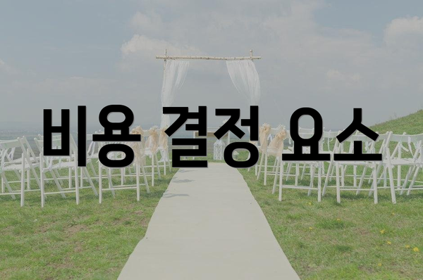 비용 결정 요소