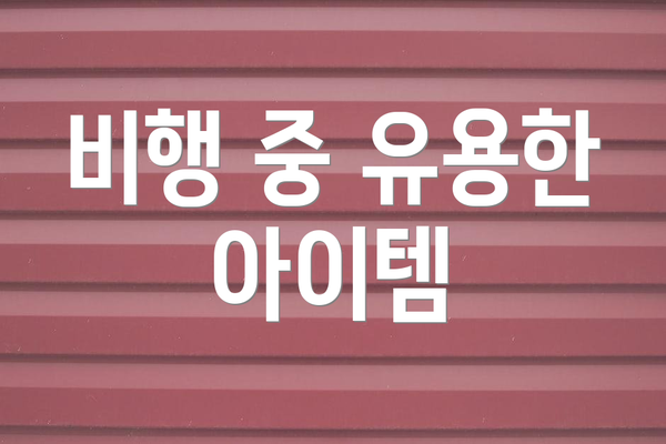 비행 중 유용한 아이템