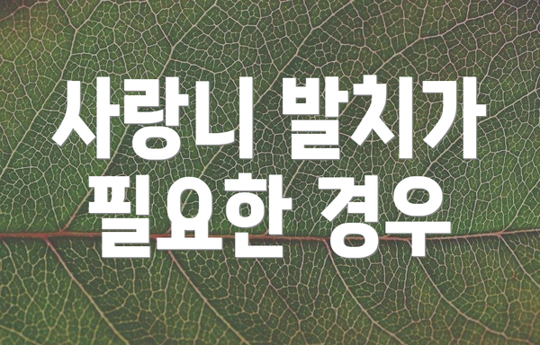 사랑니 발치가 필요한 경우